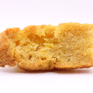 Single Daisy Roo Alaskan cod dog treat on a white background